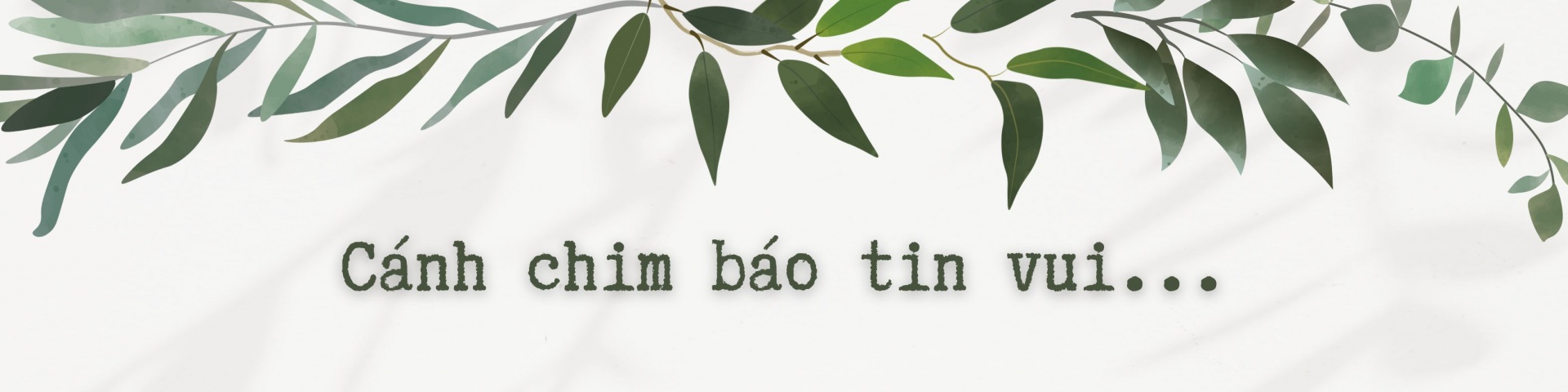Làn gió mới trong các tổ chức phi chính phủ Làn gió mới trong các tổ chức phi chính phủ