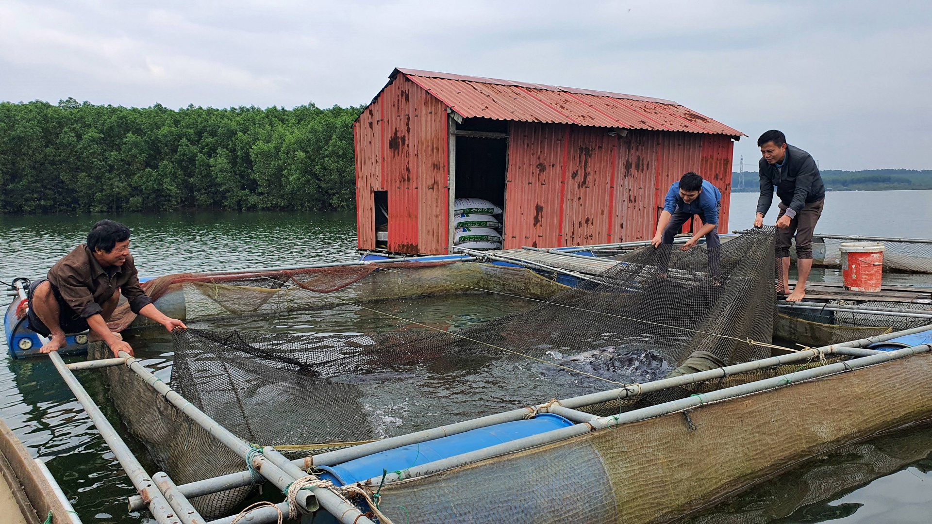 Dấu ấn Công đoàn Sở Nông nghiệp và PTNT tỉnh Quảng Trị trên con đường nông thôn mới