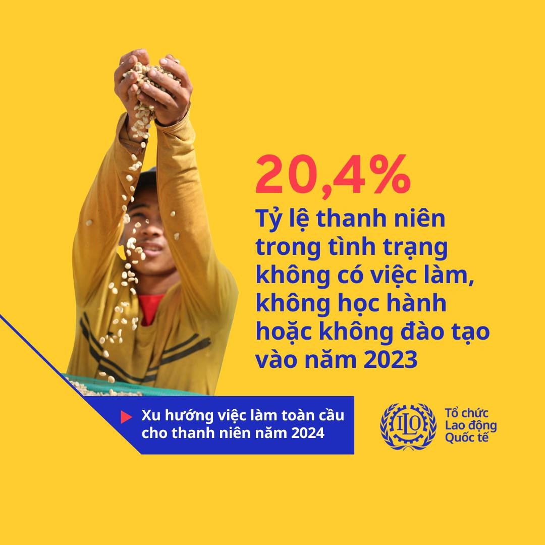 Hơn 1/5 thanh niên toàn cầu tuổi từ 15-24 không có việc làm, giáo dục hoặc đào tạo