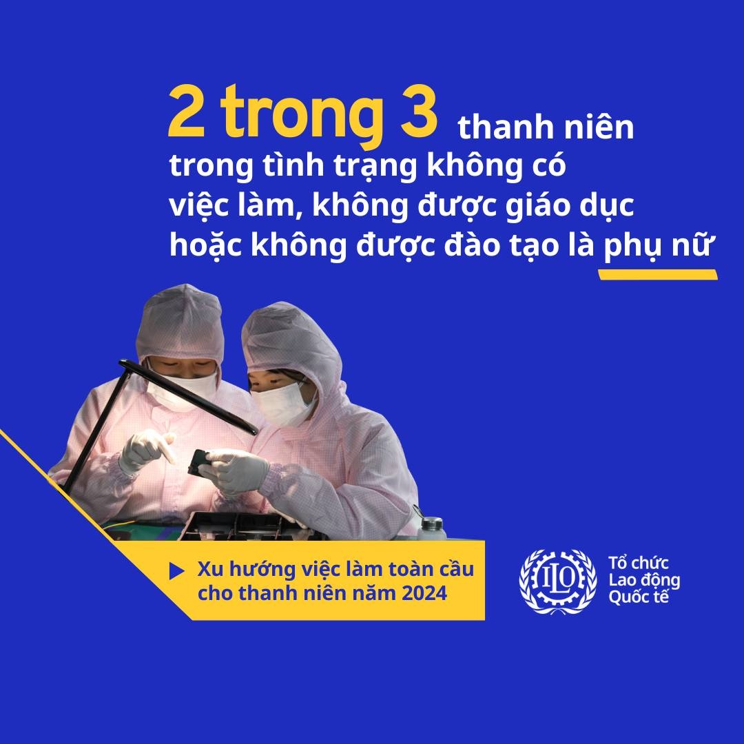 Hơn 1/5 thanh niên toàn cầu tuổi từ 15-24 không có việc làm, giáo dục hoặc đào tạo