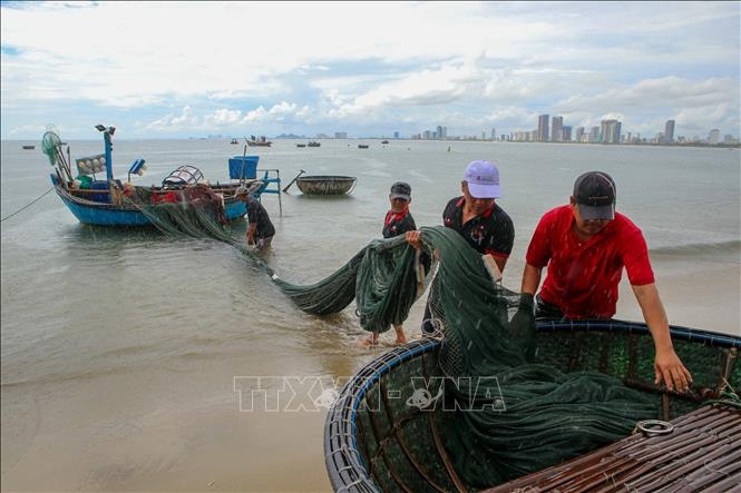 “Siêu bão” sắp đổ bộ, người lao động lo lắng, chuẩn bị phương án “phòng hơn chống” “Siêu bão” sắp đổ bộ, người lao động lo lắng, chuẩn bị phương án “phòng hơn chống”