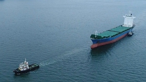 Trước giờ siêu bão Yagi đổ bộ: Sỹ quan, thuyền viên và các đội tàu đã trú ẩn an toàn