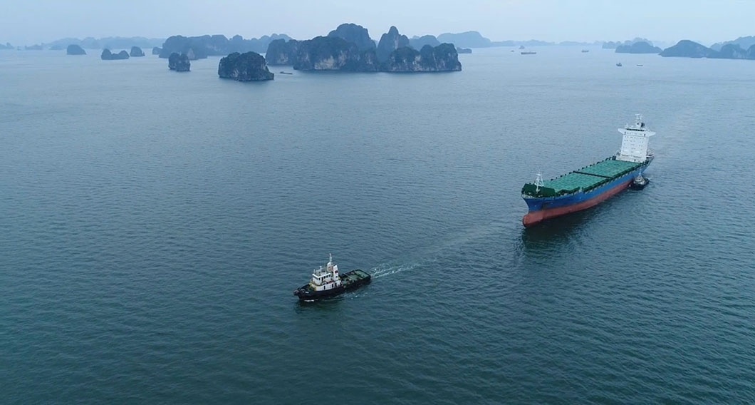 Trước giờ bão Yagi đổ bộ: Tàu và sỹ quan, thuyền viên đã neo trú nơi an toàn Trước giờ bão Yagi đổ bộ: Tàu và sỹ quan, thuyền viên đã neo trú nơi an toàn