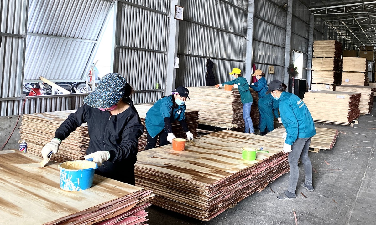 Công ty CP Gỗ Quảng Phát tuyển gần 50 lao động tại Quảng Bình Công ty CP Gỗ Quảng Phát tuyển gần 50 lao động tại Quảng Bình