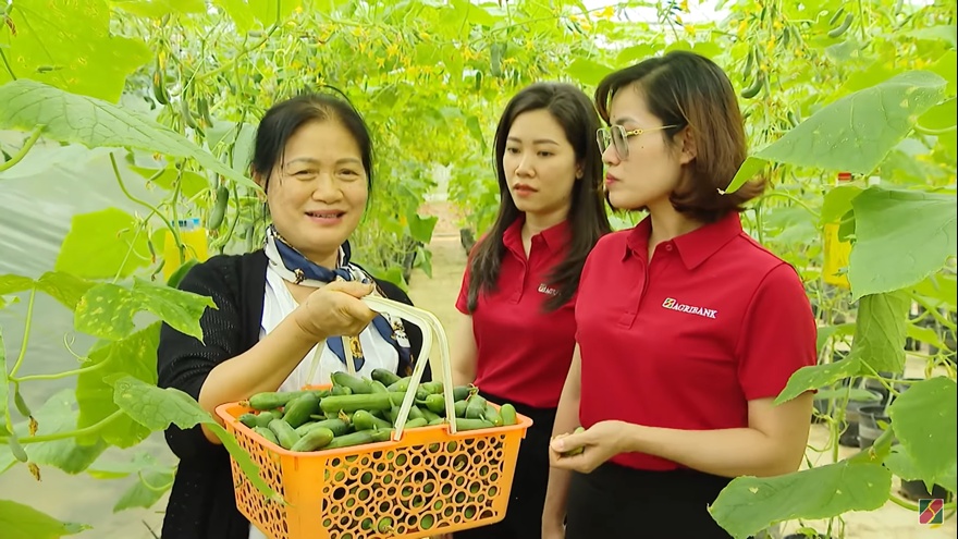 Dòng vốn ưu đãi 50.000 tỷ đồng từ Agribank: Tiếp sức sản xuất cho triệu hộ kinh doanh