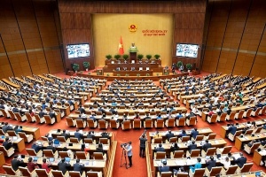 khi quoc hoi di truoc mot buoc ve the che