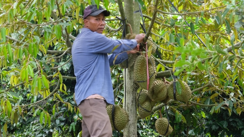 Mạch ngầm cao nguyên – Bài 3: Gác lại nỗi niềm riêng, chung sức cùng buôn làng