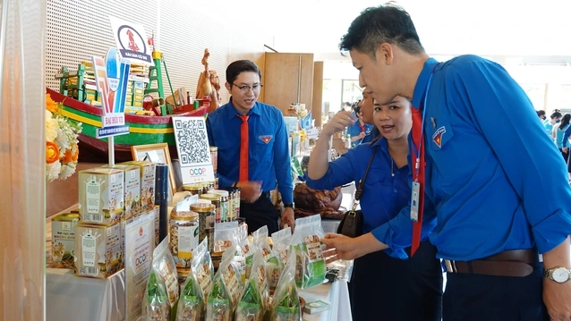 Khởi nghiệp thanh niên: Điểm nghẽn từ năng lực đến hệ sinh thái Khởi nghiệp thanh niên: Điểm nghẽn từ năng lực đến hệ sinh thái