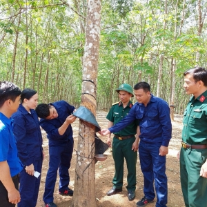 Binh đoàn 15 đưa pháp luật đến với đồng bào