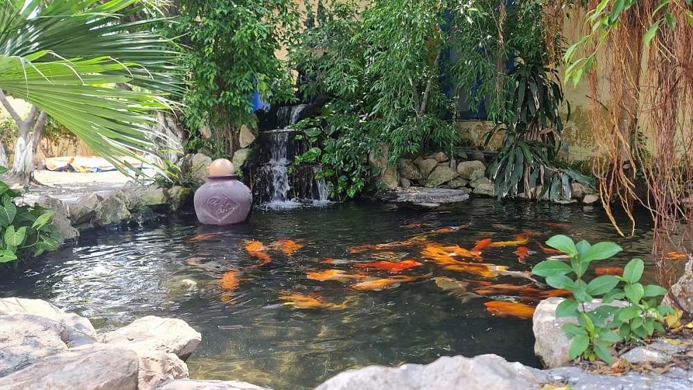 Công đoàn DAP-Vinachem đặc biệt quan tâm đến cảnh quan môi trường tại nơi làm việc. Ảnh: ĐVCC