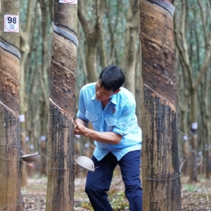 Công đoàn Binh đoàn 15 với sáng kiến, sáng tạo trong lính thợ