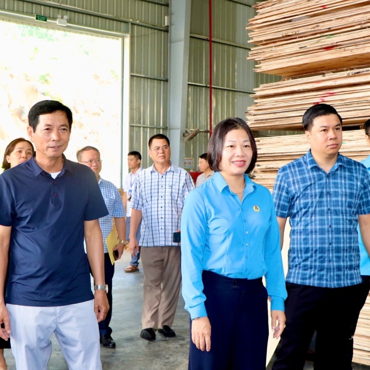 Khảo sát thực tiễn, đồng hành cùng doanh nghiệp, tạo nền tảng phát triển tổ chức Công đoàn