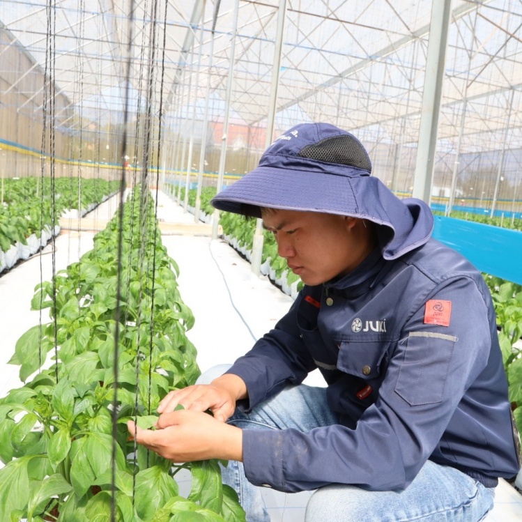 Đổi mới tư duy, kiến tạo giá trị trong sản xuất nông nghiệp - Kỳ 1: Làm nông nghiệp bằng tư duy mới