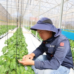 Đổi mới tư duy, kiến tạo giá trị trong sản xuất nông nghiệp - Kỳ 1: Làm nông nghiệp bằng tư duy mới