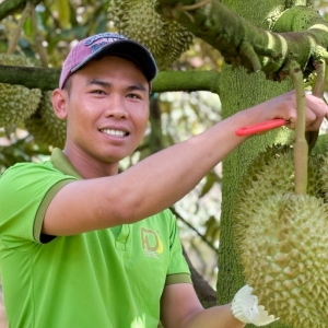Đổi mới tư duy, kiến tạo giá trị trong sản xuất nông nghiệp  - Kỳ 2: Liên kết để tạo giá trị