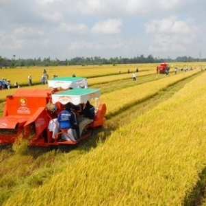 "Chìa khóa" cho nông nghiệp quy mô lớn