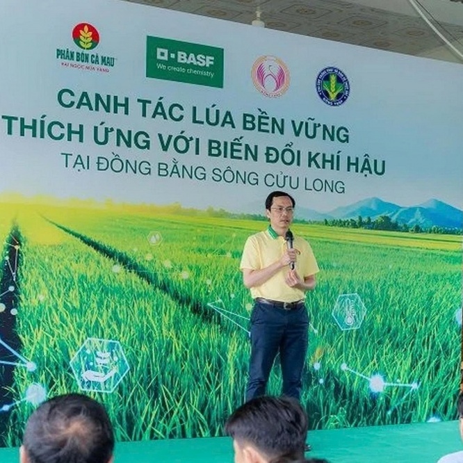 Phân bón Cà Mau khởi động chuỗi canh tác lúa bền vững tại Đồng Tháp