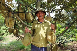 chuyen de 2 dua chinh sach cu a da ng nha nuoc va chuong tri nh ha nh dong cu a mat tran