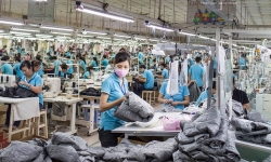 Sáng kiến bảo vệ quyền lợi của người lao động phi chính thức