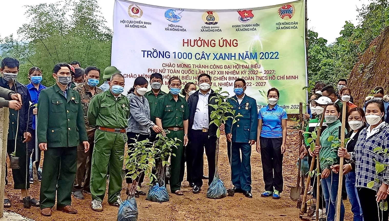 Công đoàn Hoà Bình tích cực phủ xanh Công đoàn Hoà Bình tích cực phủ xanh