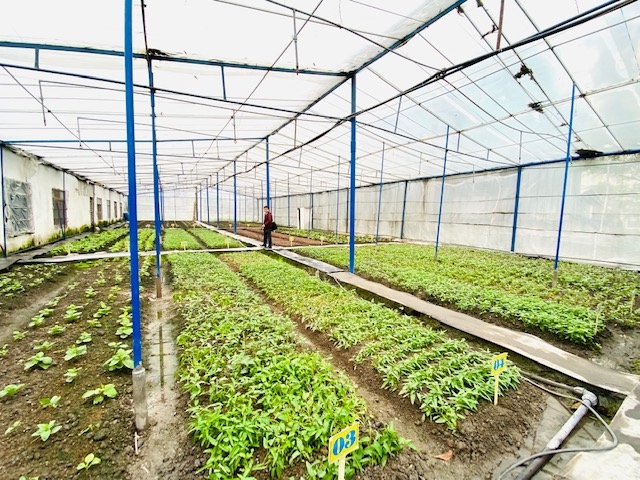 Công đoàn Công nghiệp Hóa chất Việt Nam: Gắn biển công trình "Vườn rau Công đoàn" Công đoàn Công nghiệp Hóa chất Việt Nam: Gắn biển công trình "Vườn rau Công đoàn"