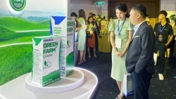Nghịch lý VNM, "cứu tinh" của thị trường lại đang dò đáy