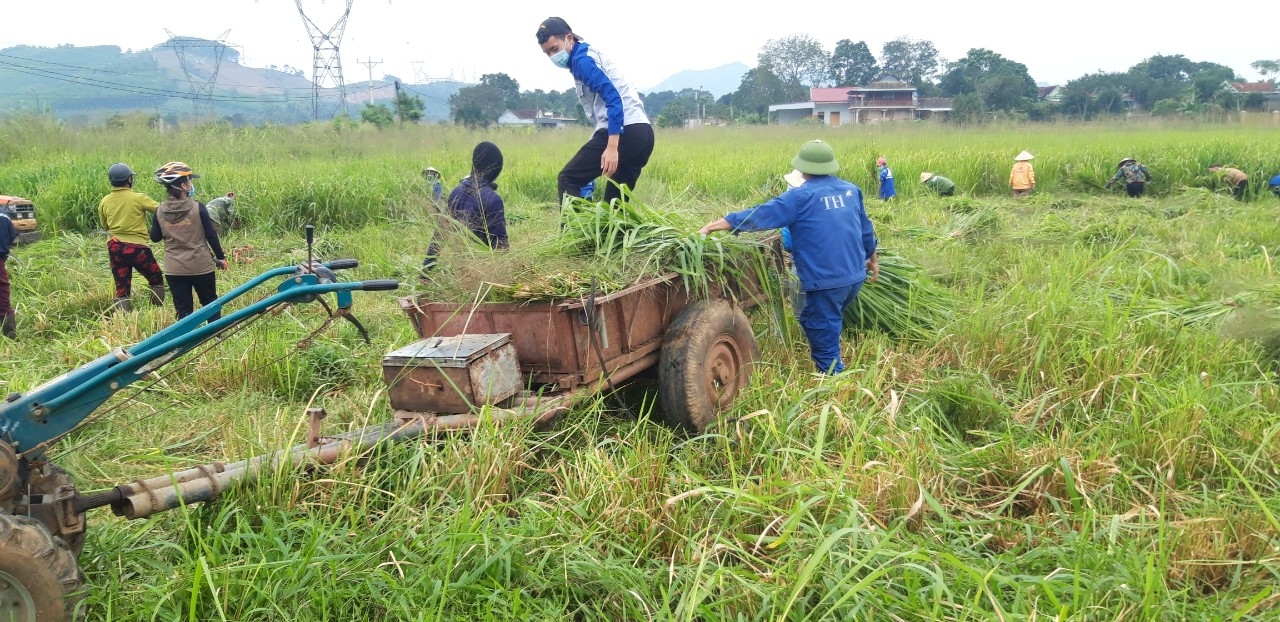 CĐCS huyện Nghĩa Đàn thực hiện nhiều cách làm mới trong công tác phòng, chống dịch bệnh