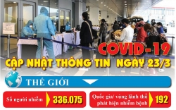 anh vqc vo on hay vo y