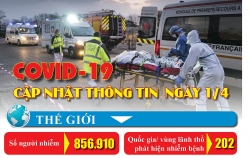 hai phong va quang ninh hang loat nguoi va phuong tien di den roi lai di ve
