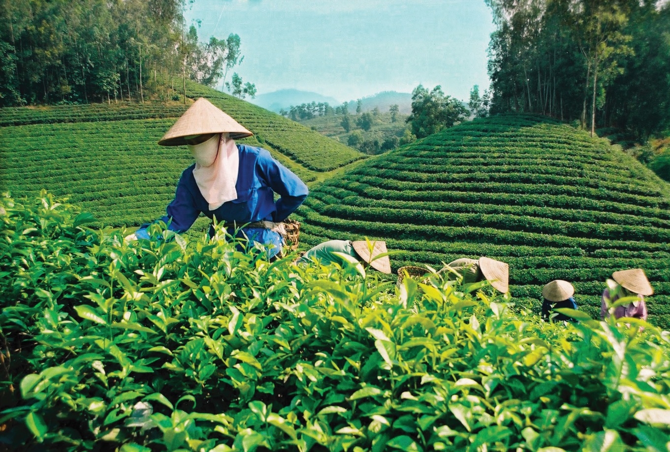 LĐLĐ tỉnh yên Bái: Khắc phục khó khăn, duy trì việc làm cho đoàn viên, người lao động LĐLĐ tỉnh yên Bái: Khắc phục khó khăn, duy trì việc làm cho đoàn viên, người lao động