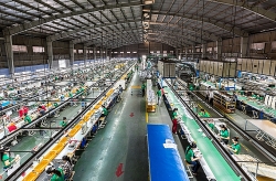 Tạm hoãn hợp đồng lao động và nghỉ không lương có gì khác nhau?