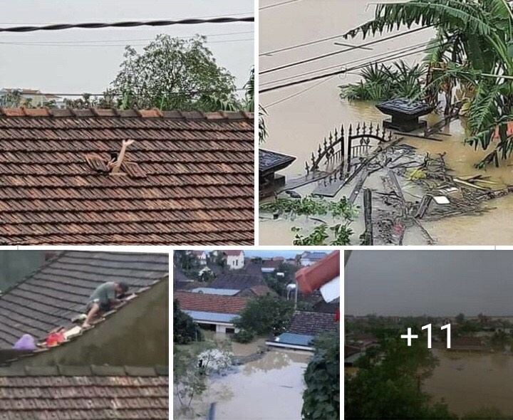 Lũ lụt lớn: Một sự bình thường mới?