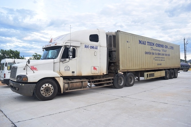 hue phat hien tai xe dieu khien xe container co bieu hien ngao da