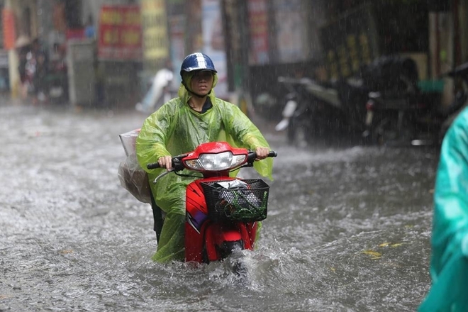 mua xoi xa nhieu tuyen pho ha noi bien thanh song