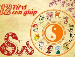 tu vi 12 con giap nam 2021