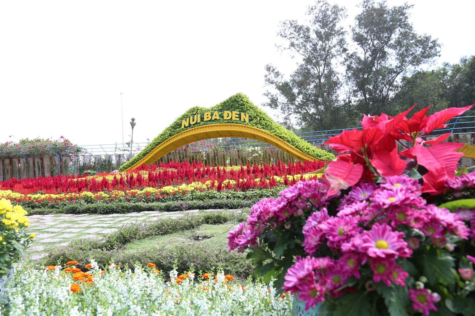Vì sao Núi Bà Tây Ninh là Vì sao Núi Bà Tây Ninh là
