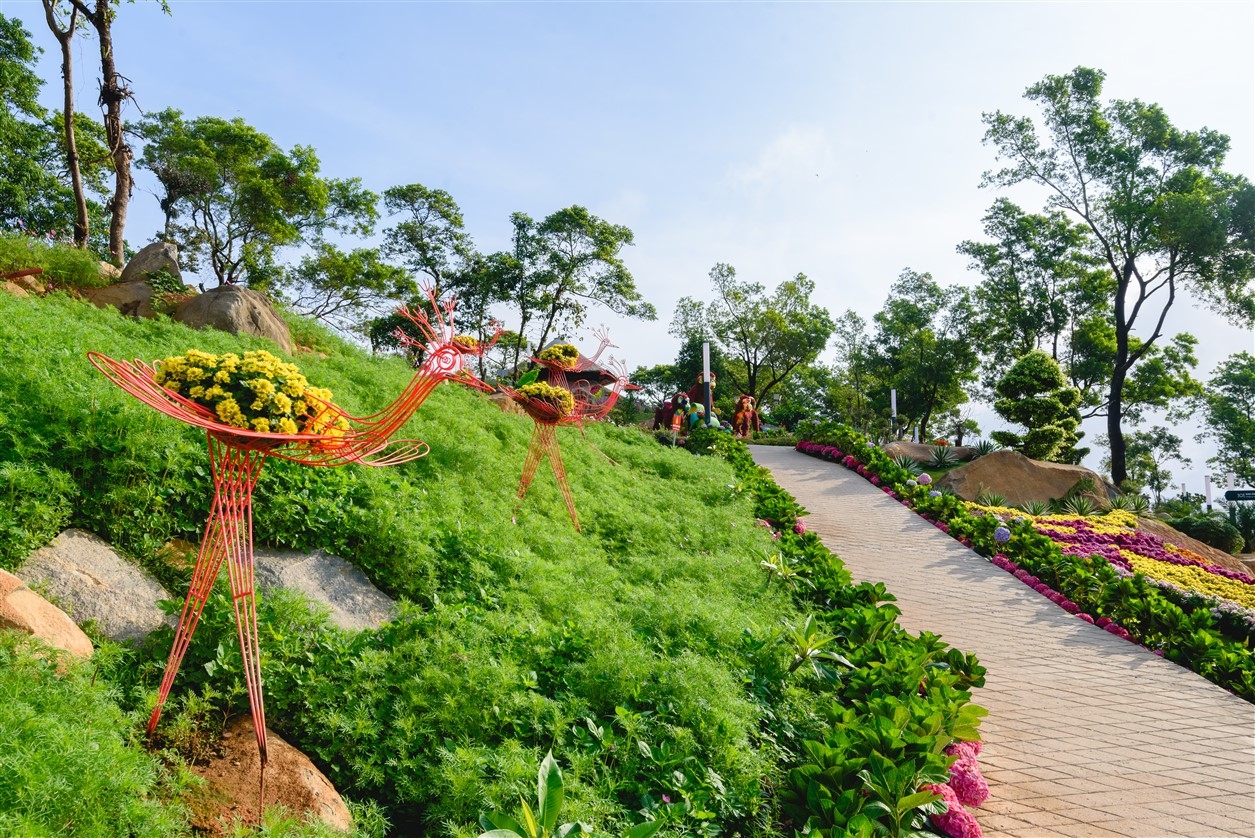 Vì sao Núi Bà Tây Ninh là Vì sao Núi Bà Tây Ninh là