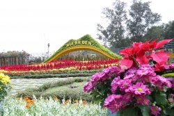 Vì sao Núi Bà Tây Ninh là 