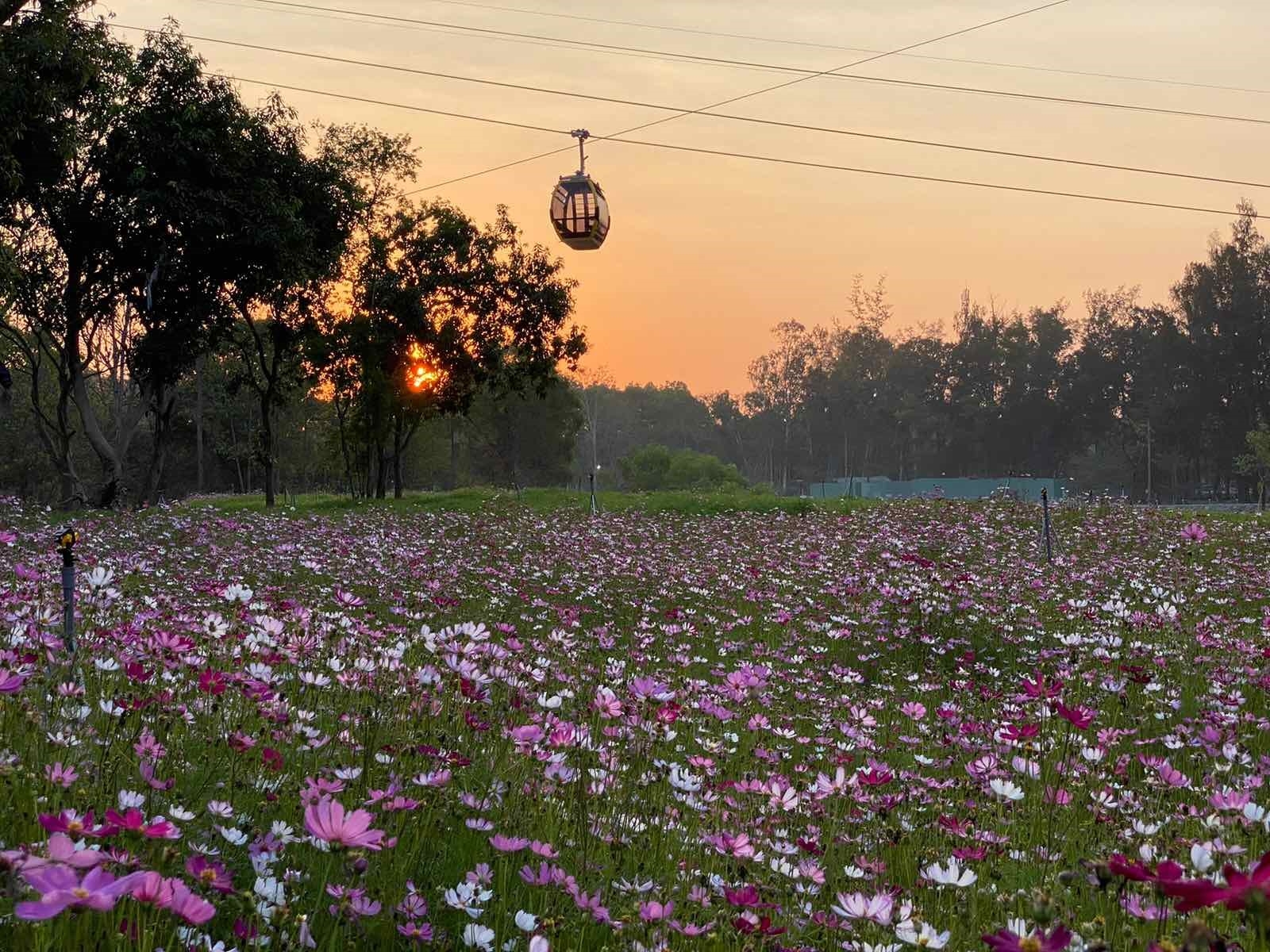 Bạn có biết núi Bà Đen bây giờ đẹp thế này chưa? ban co biet nui ba den bay gio dep the nay chua