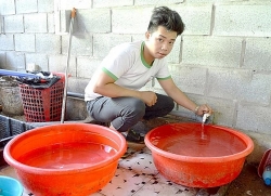 cong trinh ben xe lon nhat viet nam co gi dac biet