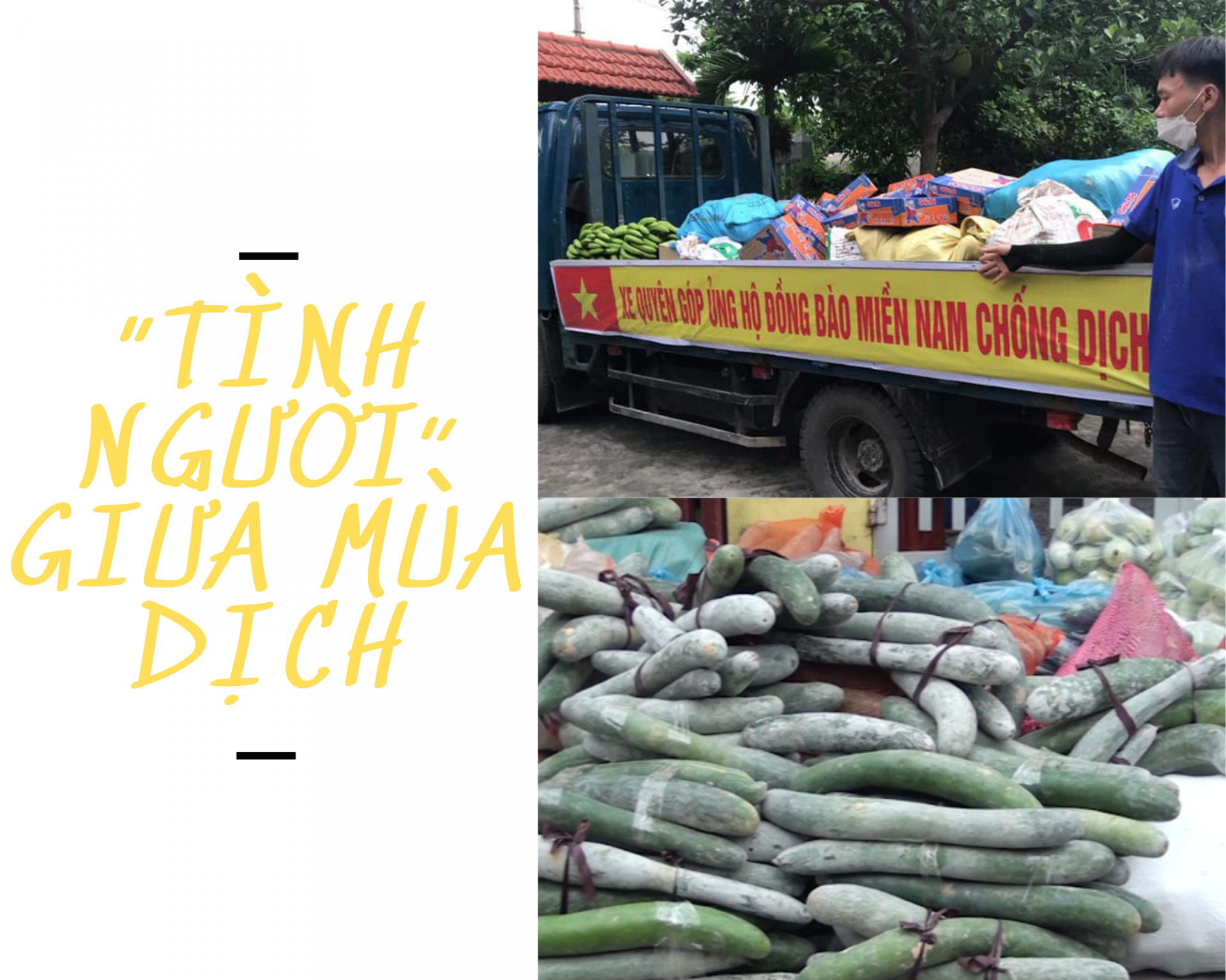 4 tấn gạo, miến, rau, củ... nhưng quý nhất là “tình người” giữa mùa dịch 4 tấn gạo, miến, rau, củ... nhưng quý nhất là “tình người” giữa mùa dịch