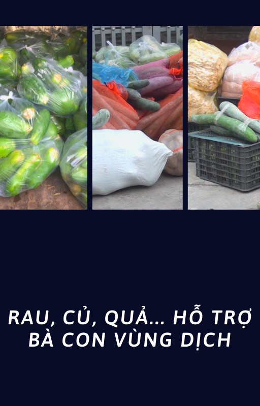 4 tấn gạo, miến, rau, củ... nhưng quý nhất là “tình người” giữa mùa dịch 4 tấn gạo, miến, rau, củ... nhưng quý nhất là “tình người” giữa mùa dịch