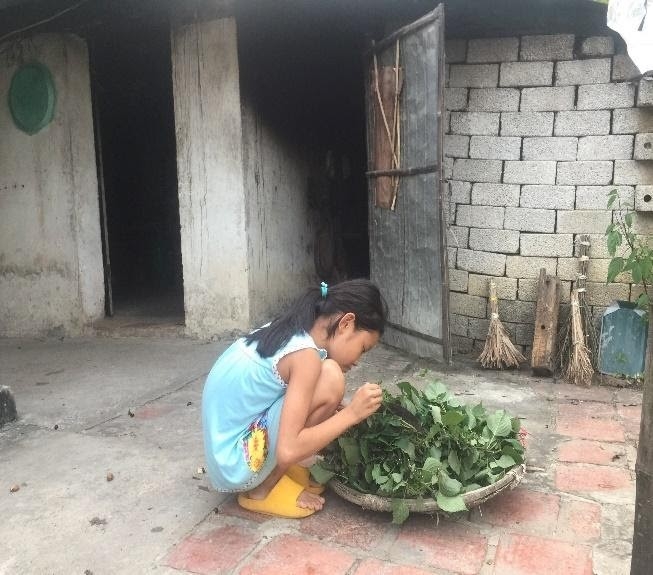 Mái ấm Hoa Việt – nơi trái tim mỉm cười