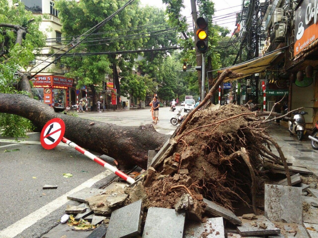 nhieu tuyen pho ngap ung cay lon bat goc sau tran mua dem 318 tai ha noi