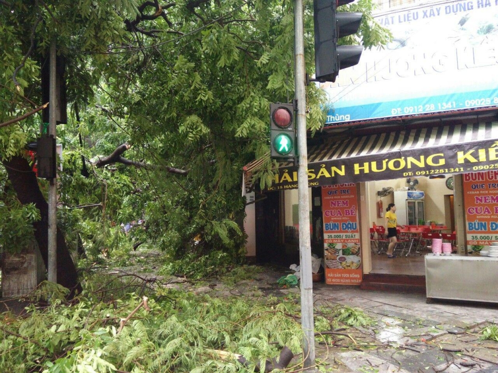 nhieu tuyen pho ngap ung cay lon bat goc sau tran mua dem 318 tai ha noi