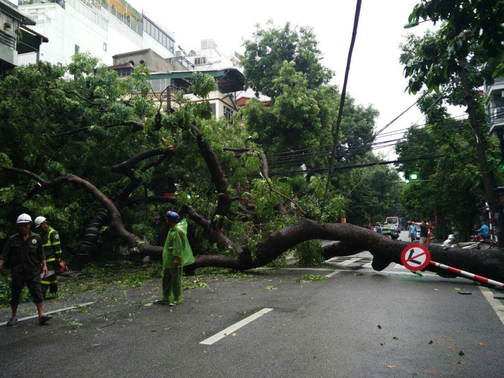 nhieu tuyen pho ngap ung cay lon bat goc sau tran mua dem 318 tai ha noi