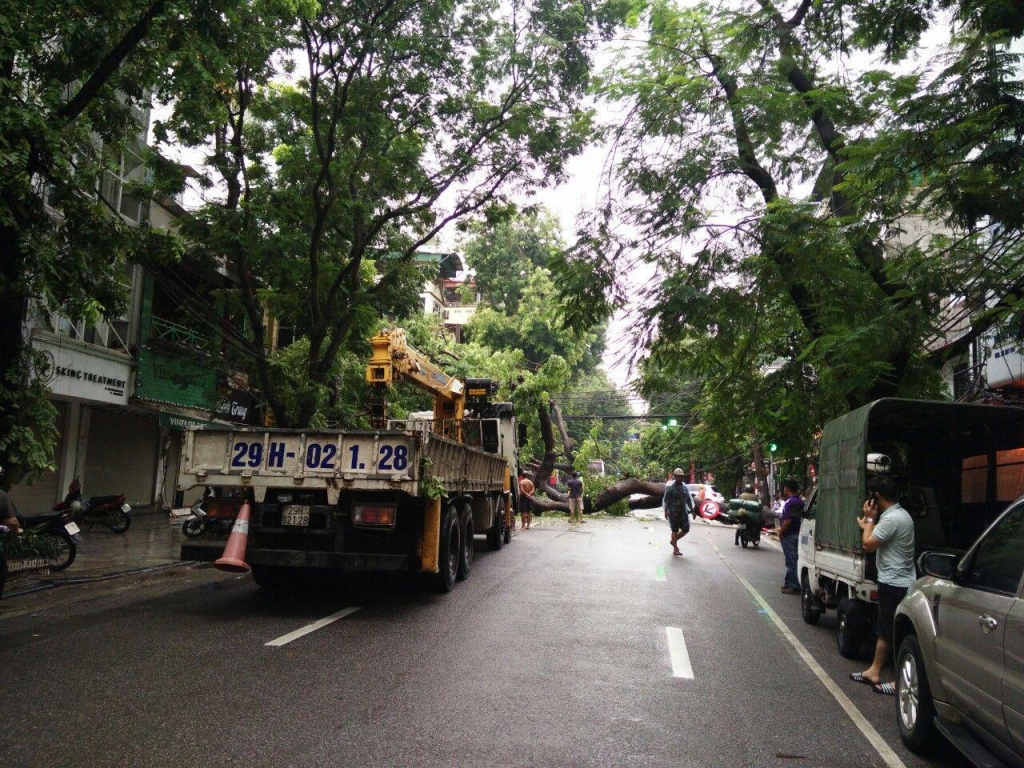 nhieu tuyen pho ngap ung cay lon bat goc sau tran mua dem 318 tai ha noi