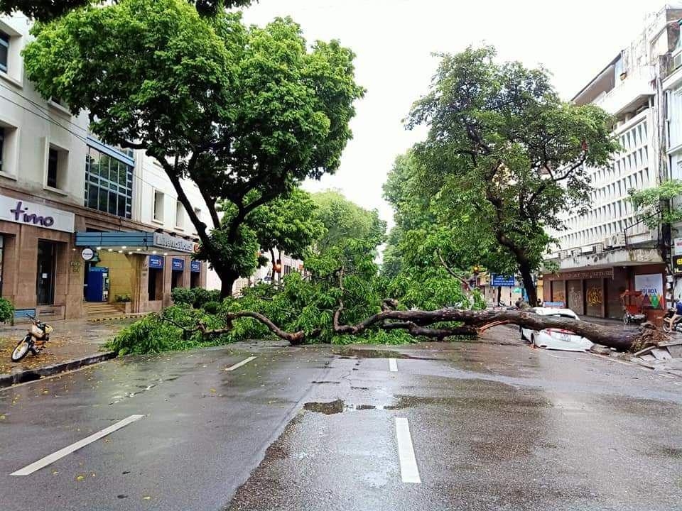 nhieu tuyen pho ngap ung cay lon bat goc sau tran mua dem 318 tai ha noi