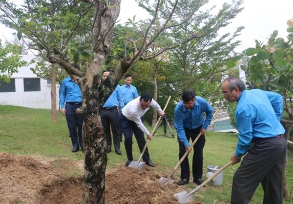 Dâng hương, gắn ảnh liệt sĩ Trần Quốc Trị ở Khu tưởng niệm chiến sĩ Gạc Ma Dâng hương, gắn ảnh liệt sĩ Trần Quốc Trị ở Khu tưởng niệm chiến sĩ Gạc Ma