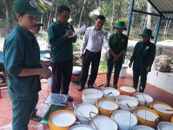 Khi nghị lực được nhân lên